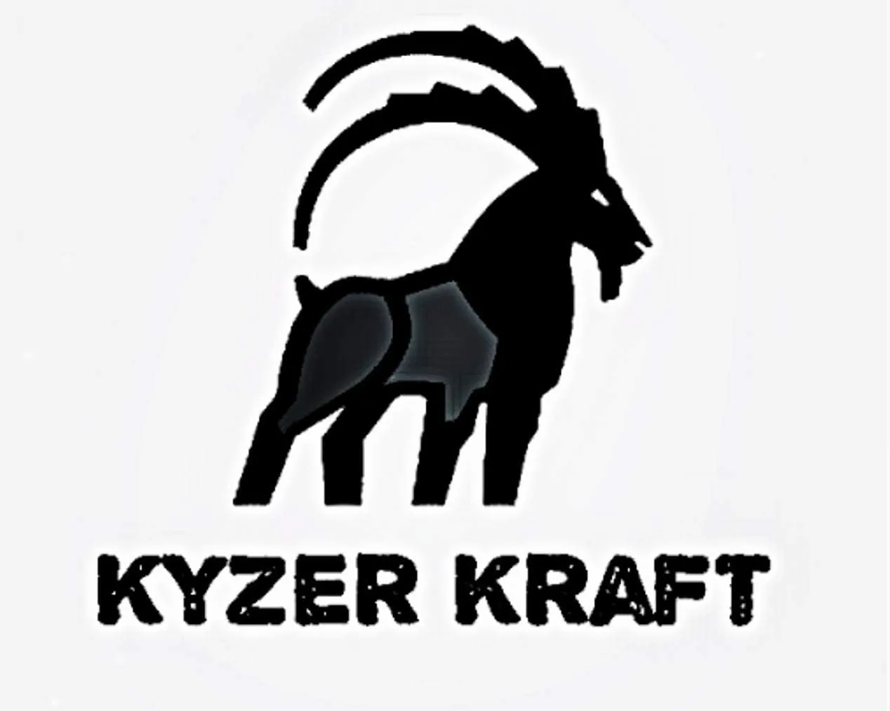 KYZER KRAFT Womens Leather Jacket Zippers Real Lambskin Leather Jacket for Womens